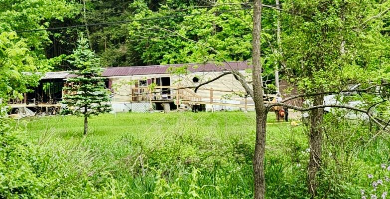 Fatal fire victim's identity released | News, Sports, Jobs - Williamsport Sun-Gazette - Vimarsana News